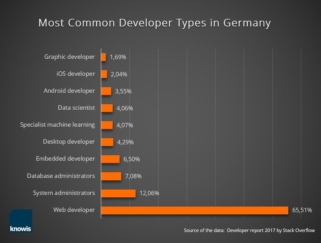 Developer-Types Info grafic