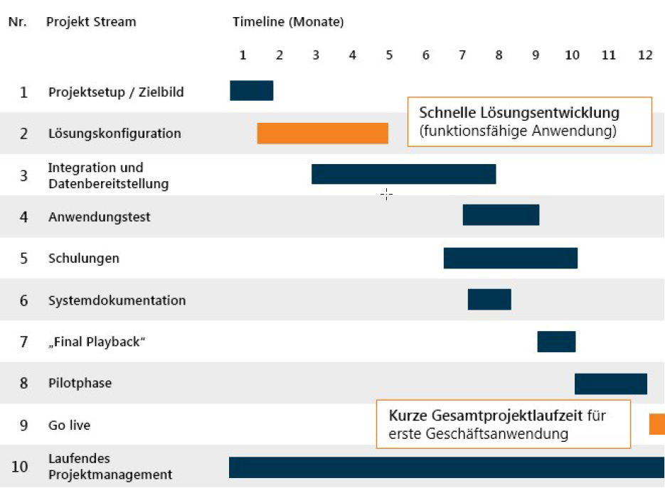 Project_Plan_Realization_of_Digitlaization_in_Banking_DE