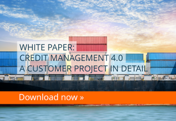 Whitepaper: Credit Management 4.0
